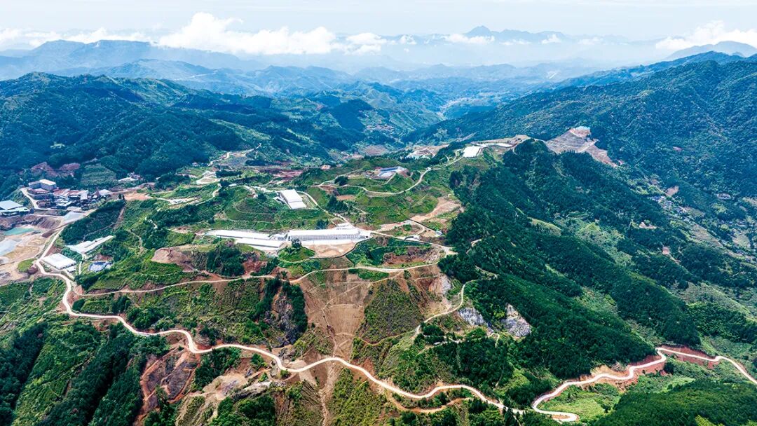 福建银顶种猪场位于远离城市的群山中。图片／采访对象供图
