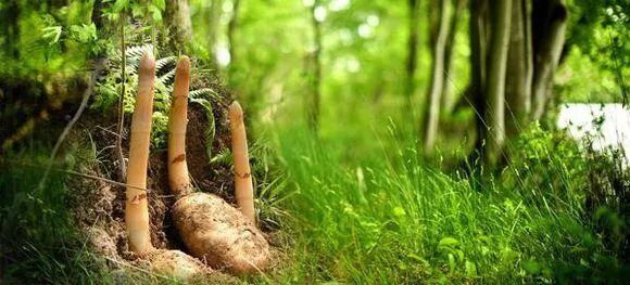 640?wx_fmt=jpeg&from=appmsg