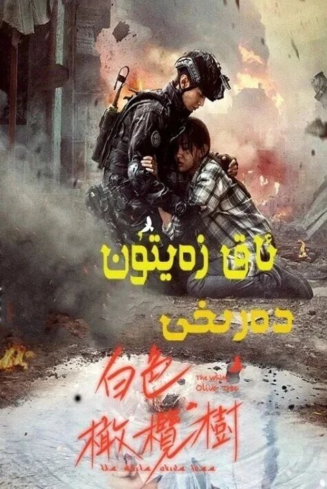 ئاق زەيتۇن دەرىخى