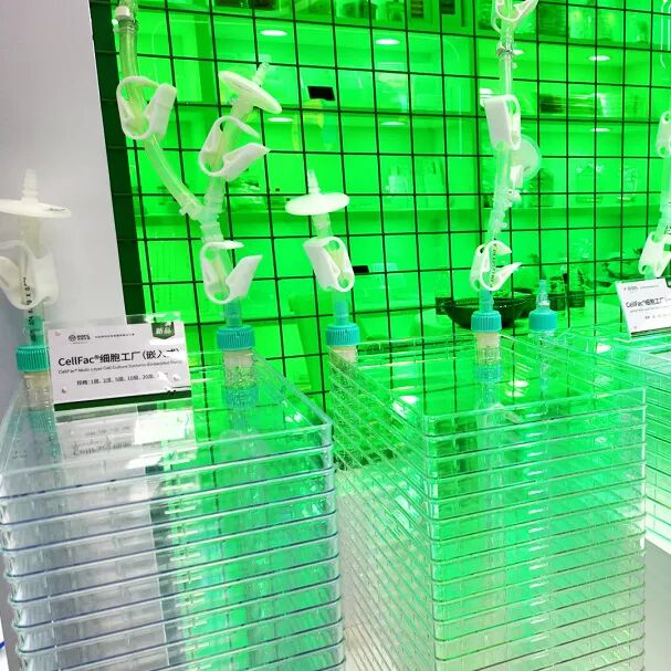 精彩回顾｜洁特生物BIOCHINA2026圆满收官！