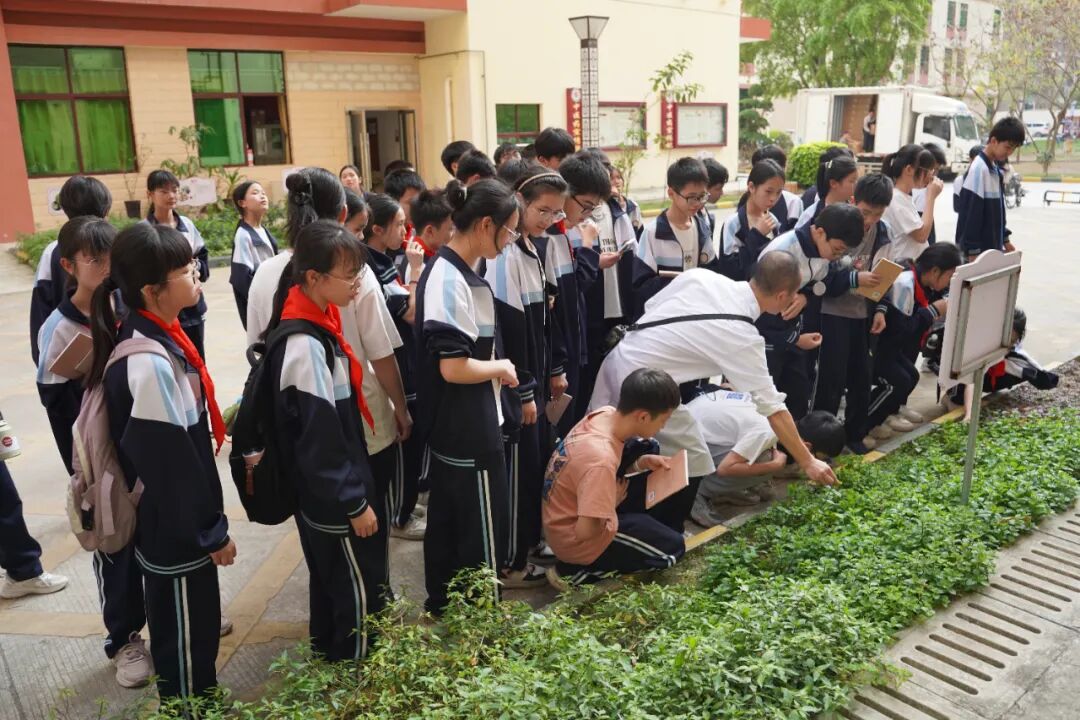 宾阳中医院牙科怎么样【院讯】传承中医国粹 助力健康校园│我院走进宾阳县思恩民族中学开展中医药文化进校园活动_https://www.jmylbn.com_新闻资讯_第16张