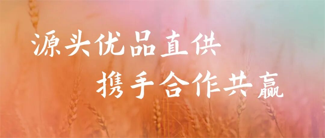 通用秋分节气渐变祝福公众号首图.jpg