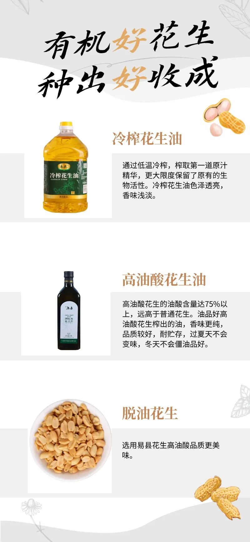 产品展示介绍推荐种草上市.jpg