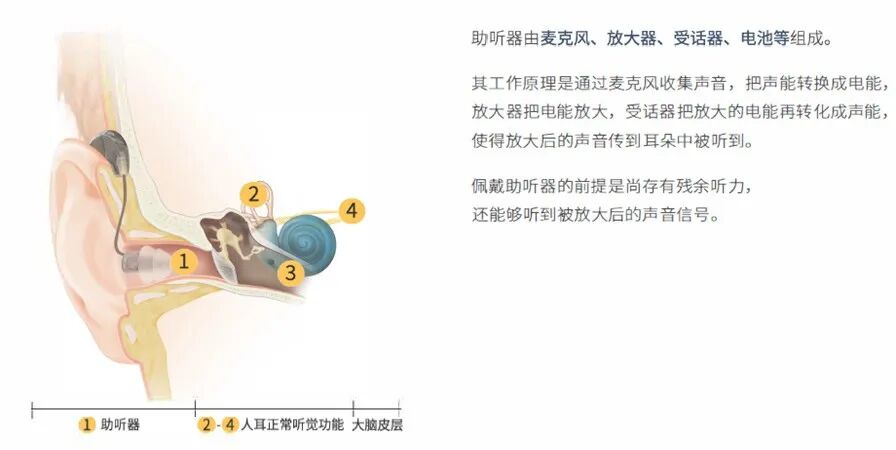 微信图片_20260305153256.jpg