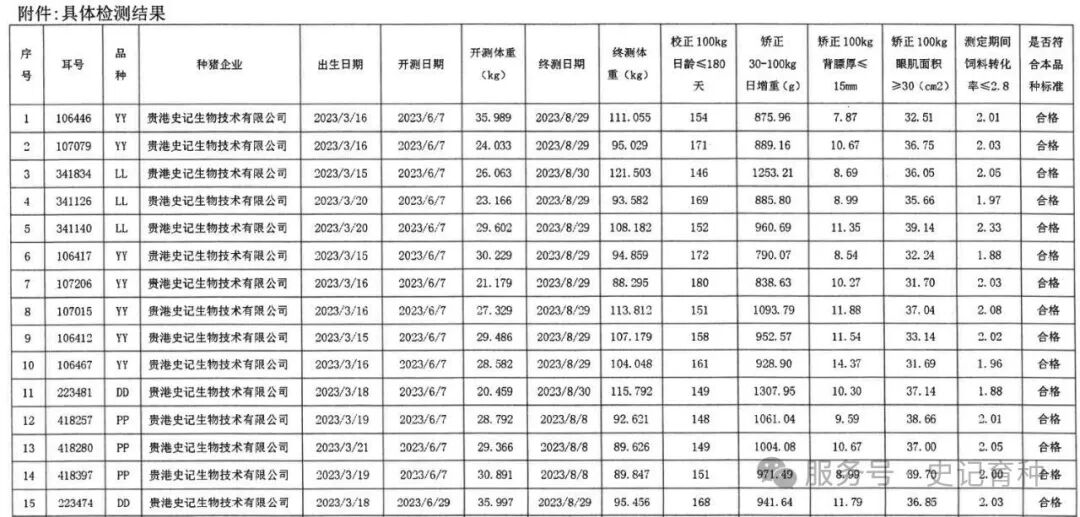 图片8.jpg