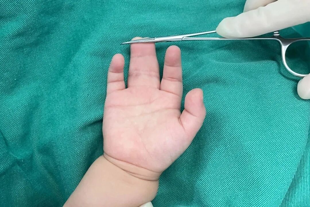 微信图片_2026-06-13_161248_585.jpg