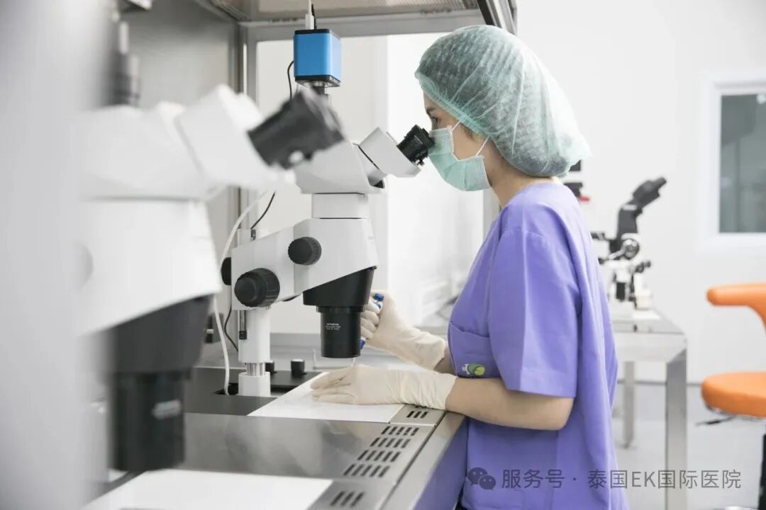 D7（第7天）成囊胚2枚，泰国三代试管EKI-IVF，每一枚胚胎都被温柔以待
