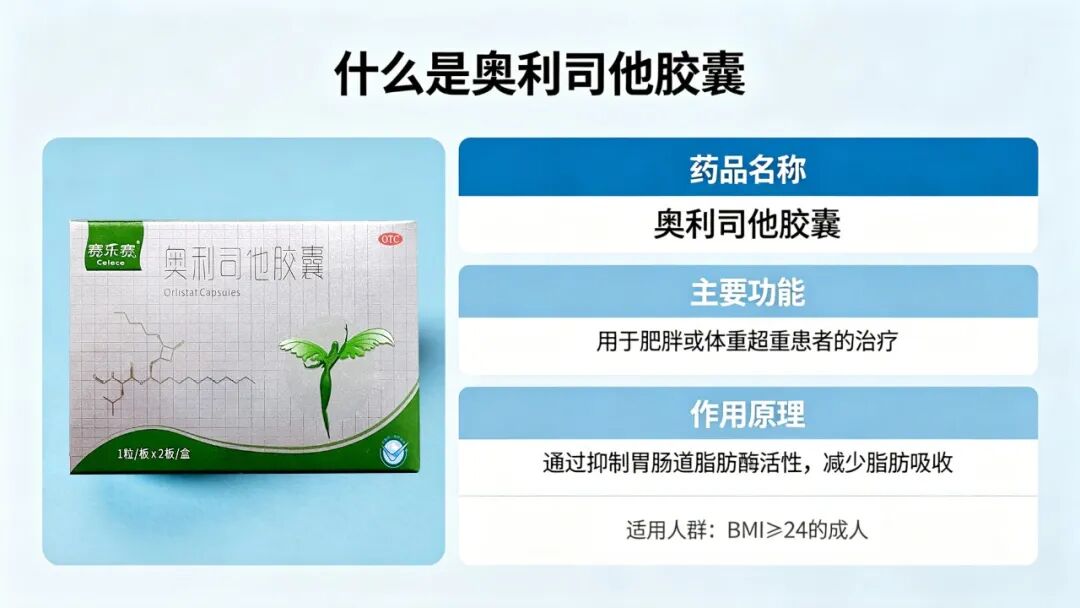 选购奥利司他有哪些实用要点