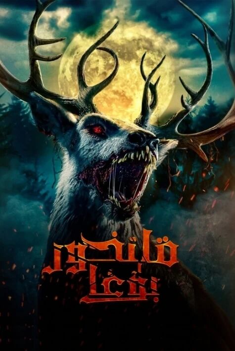 قانخور بۇغا 