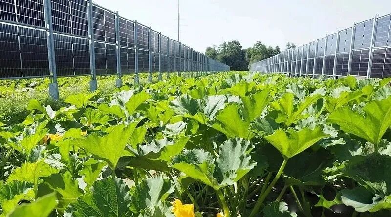 solar fence pv system