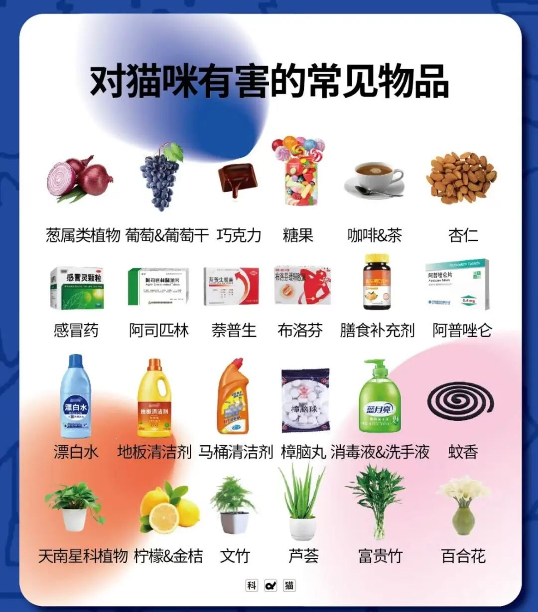 国庆留守在家的毛孩子