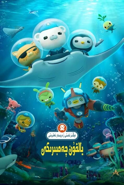 دېڭىز ئاستى زەربىدارلىرى : يالقۇن چەمبىرىكى