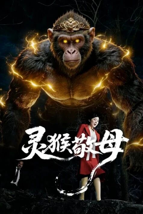 زېرەك مايمۇن