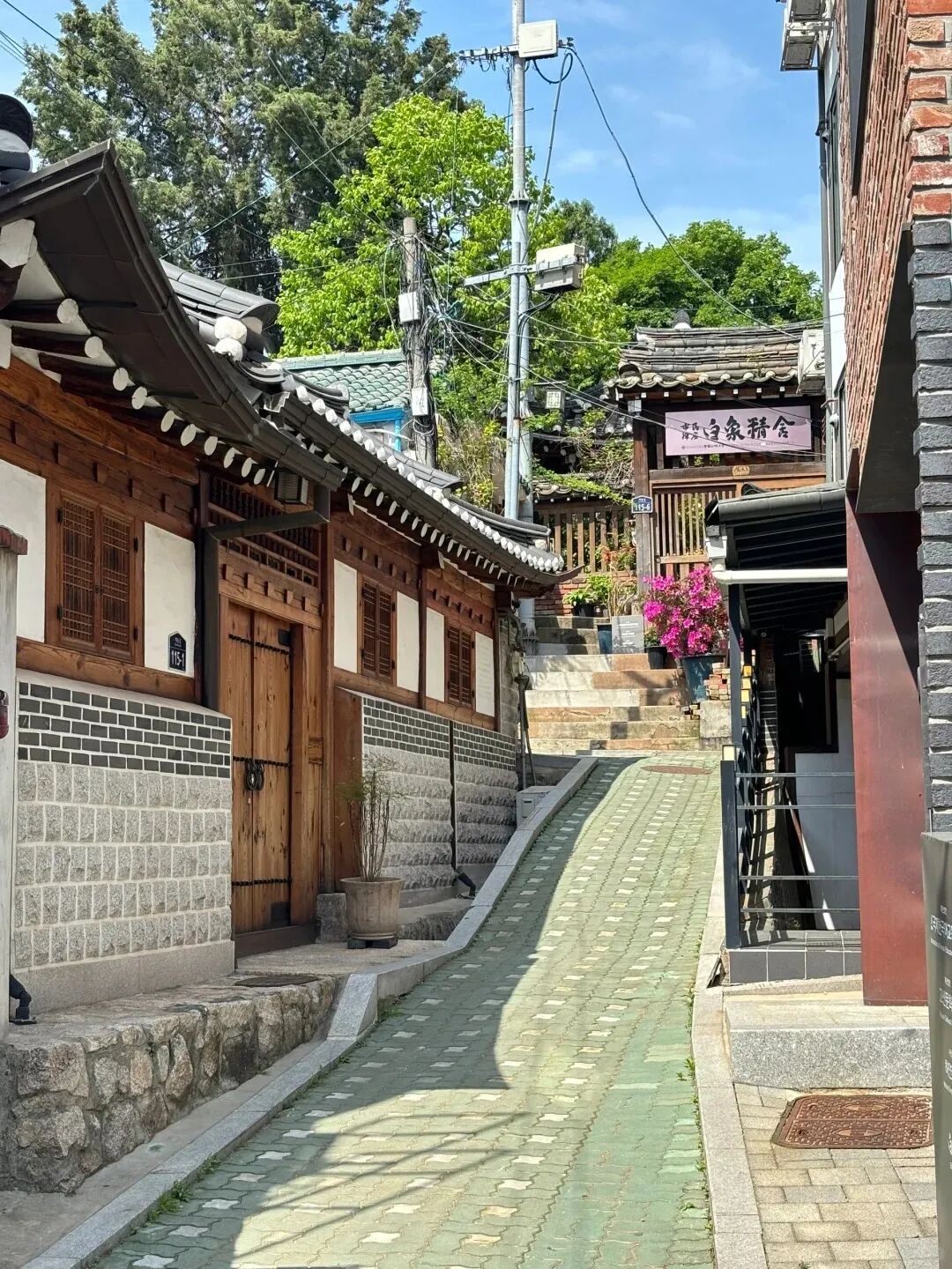2025达人汇韩国行