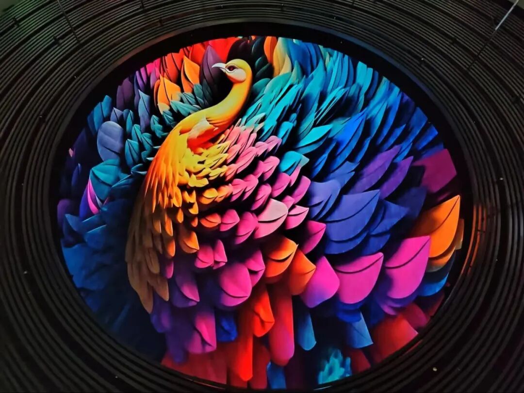 小鸟科技羽控品牌 | 辽宁地区臻选案例