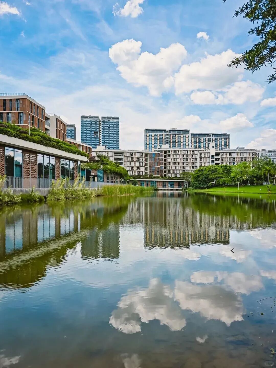 在深圳，一定要去一次南方科技大学校园‼️_11_嘻嘻尘_来自小红书网页版.jpg