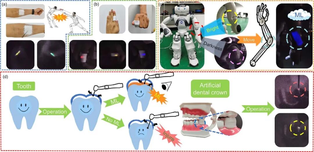 力也能发光？如何破解力致发光的「光谱密码」