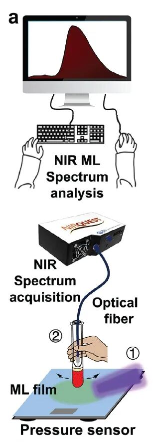 力也能发光？如何破解力致发光的「光谱密码」