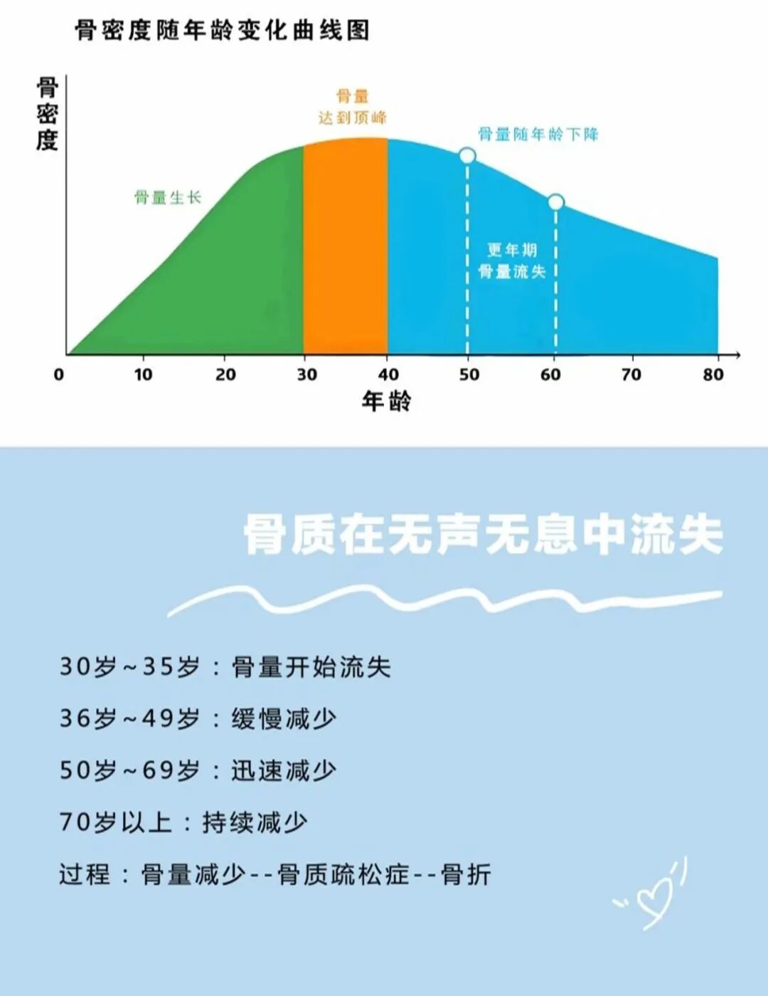 骨密度影是什么影像科普 ｜ 骨密度检查_https://www.jmylbn.com_新闻资讯_第5张