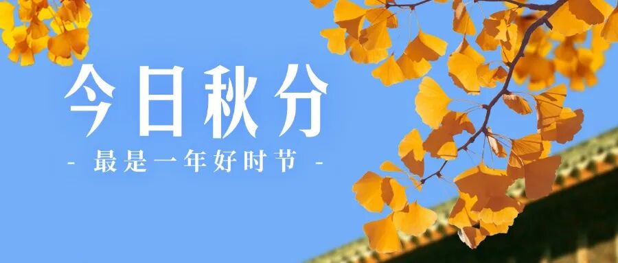 年终总结红色喜庆大字公众号首图 (1).jpg