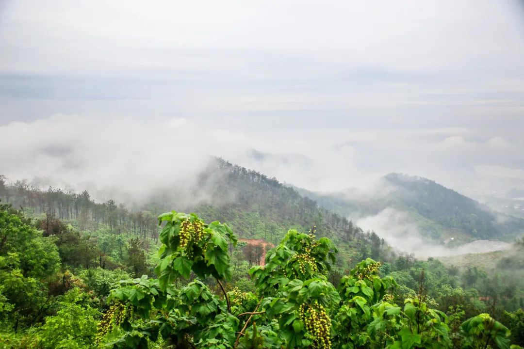 电影《越过山丘》取景独秀山，剧组人员体验诗意风光(图22)
