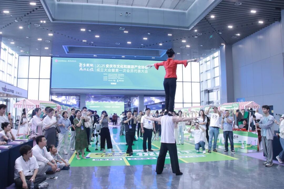 活力潮涌皖江，景致时新文旅——‌安庆市文化和旅游产业协会正式成立！(图30)