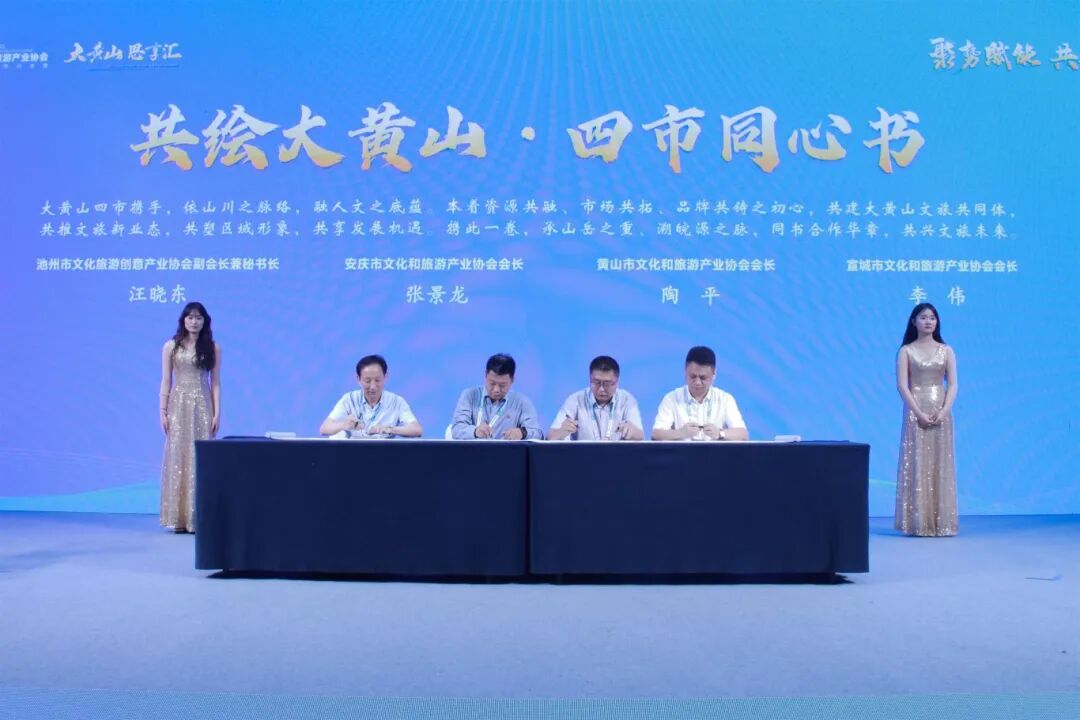 活力潮涌皖江，景致时新文旅——‌安庆市文化和旅游产业协会正式成立！(图24)