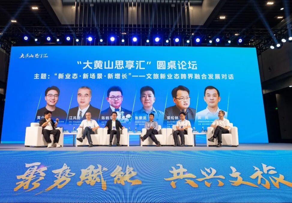 活力潮涌皖江，景致时新文旅——‌安庆市文化和旅游产业协会正式成立！(图35)