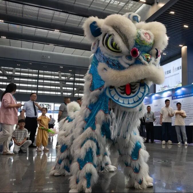 活力潮涌皖江，景致时新文旅——‌安庆市文化和旅游产业协会正式成立！(图12)