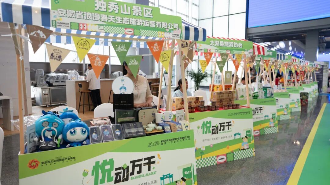 活力潮涌皖江，景致时新文旅——‌安庆市文化和旅游产业协会正式成立！(图33)