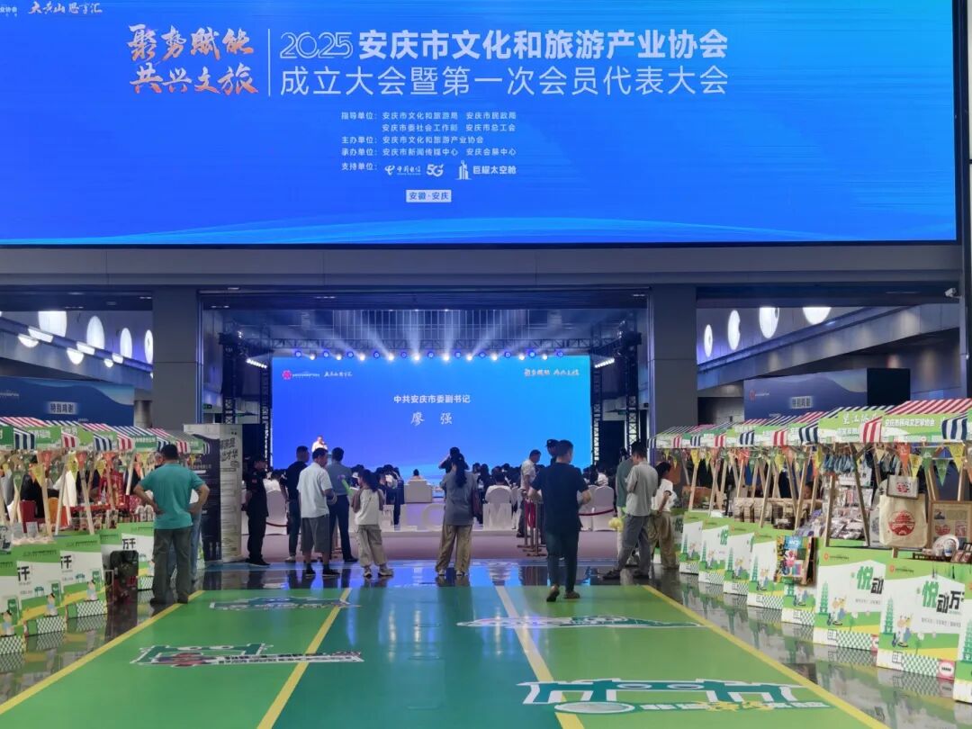 活力潮涌皖江，景致时新文旅——‌安庆市文化和旅游产业协会正式成立！(图26)