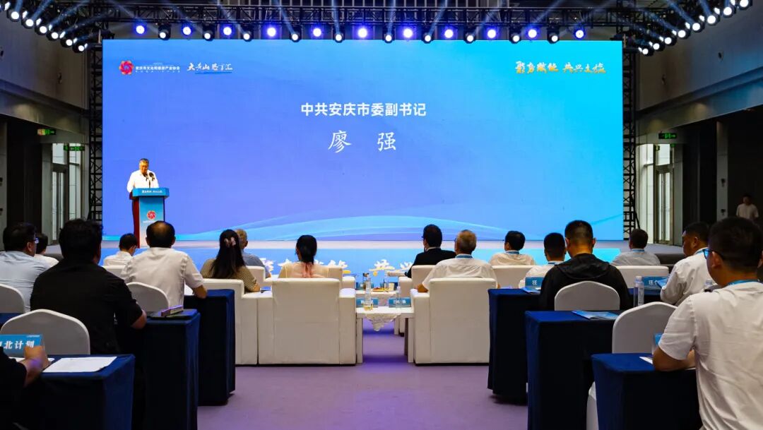 活力潮涌皖江，景致时新文旅——‌安庆市文化和旅游产业协会正式成立！(图9)