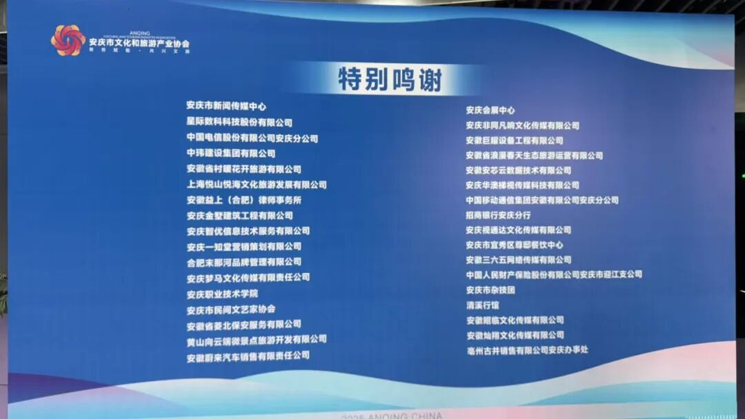 活力潮涌皖江，景致时新文旅——‌安庆市文化和旅游产业协会正式成立！(图36)