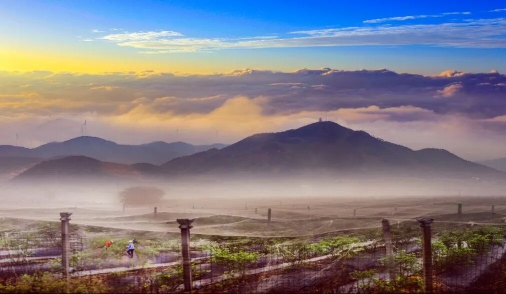 怀宁独秀山景区成功创建国家4A级旅游景区(图14)