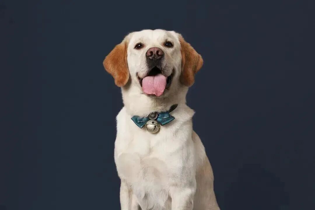 VCG211363649360 (6).jpg