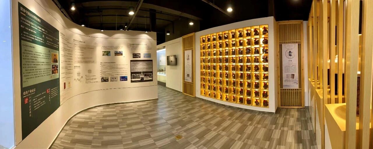 桑芝园｜以千年桑黄智慧，守护步履自由(图5)