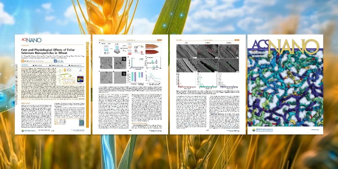 國產(chǎn) ICP-MS 單顆粒分析技術(shù)，連續(xù)助力高水平科研成果發(fā)表