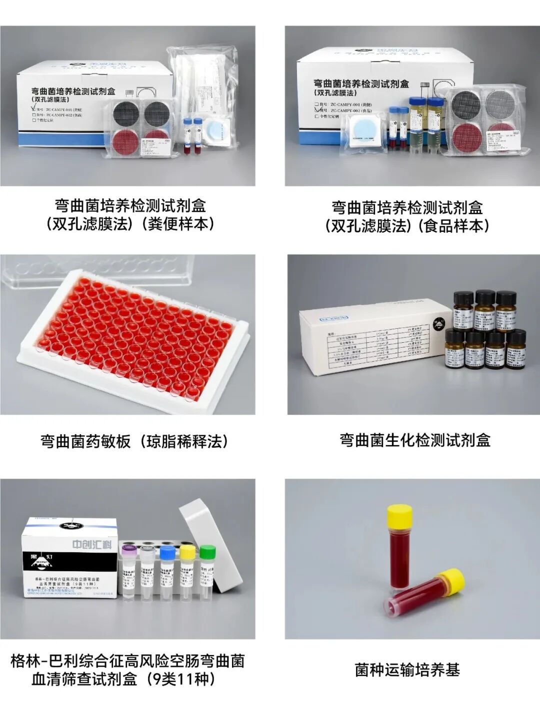 聚焦GB 4789.9-2025彎曲菌檢驗：關鍵步驟操作要點與高效解決方案