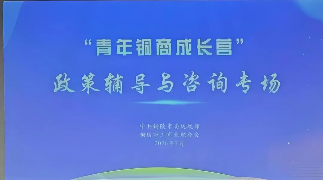 徐盛灯博士为铜陵“青年铜商”筑牢现代企业治理根基