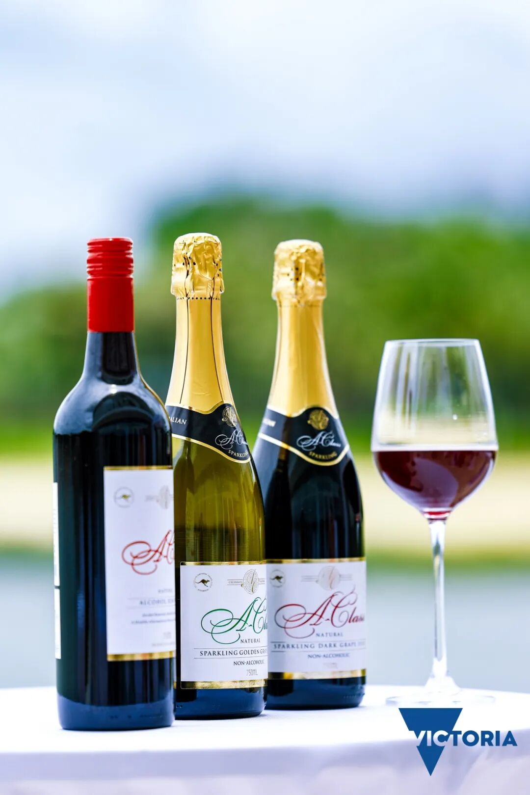 MetInfo enterprise content manager system | MetInfo CMS