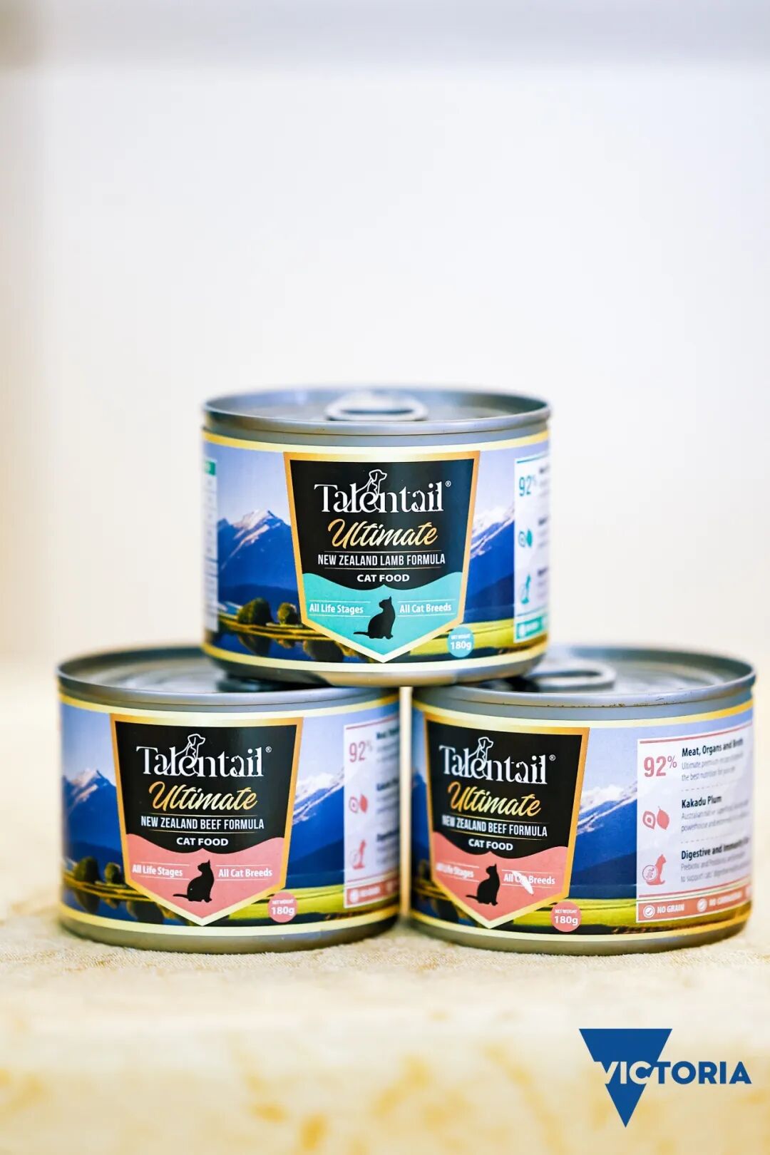 MetInfo enterprise content manager system | MetInfo CMS