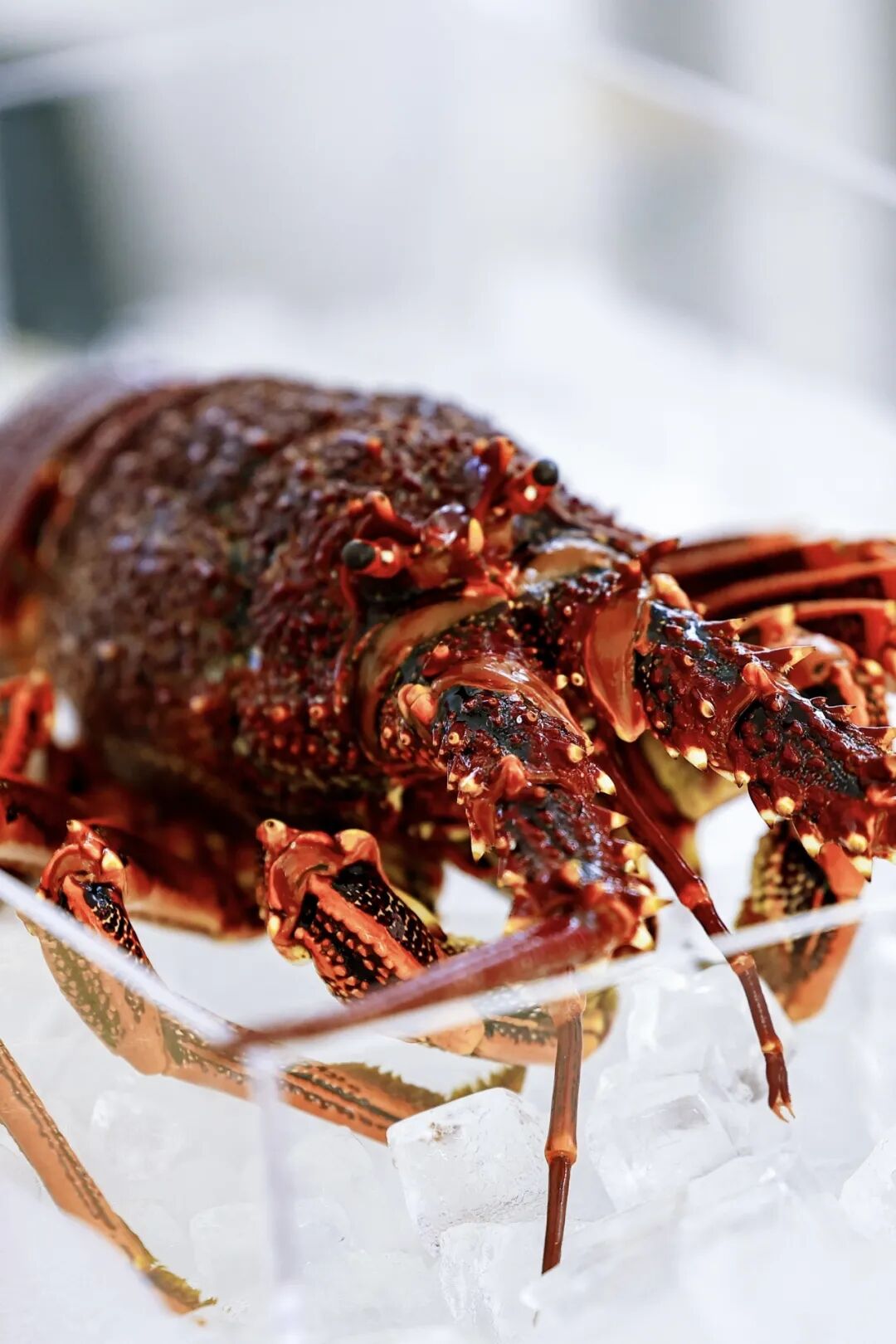 MetInfo enterprise content manager system | MetInfo CMS