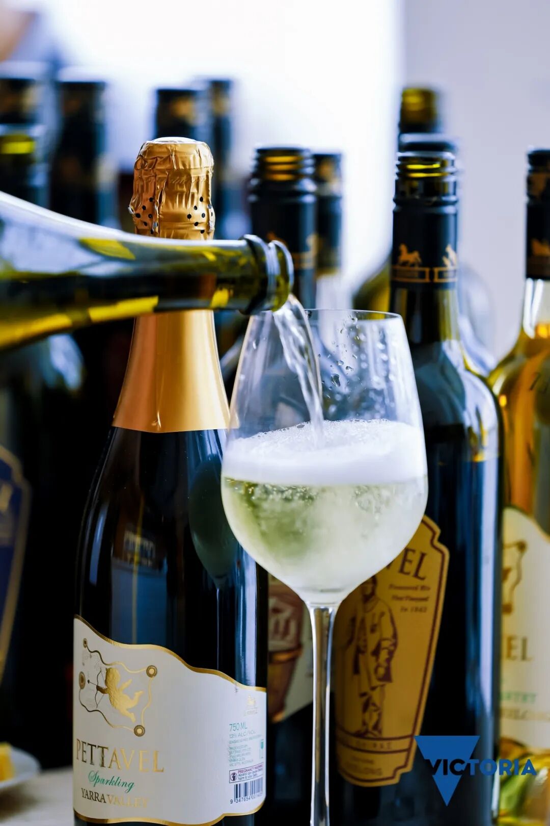 MetInfo enterprise content manager system | MetInfo CMS