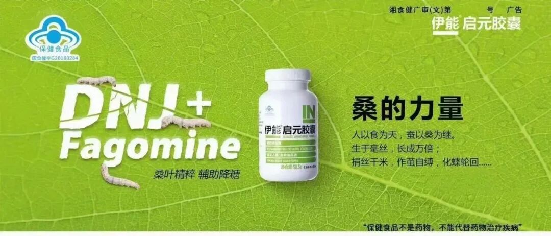 桑叶总黄酮：改善2型糖尿病肝损伤的天然活性产物