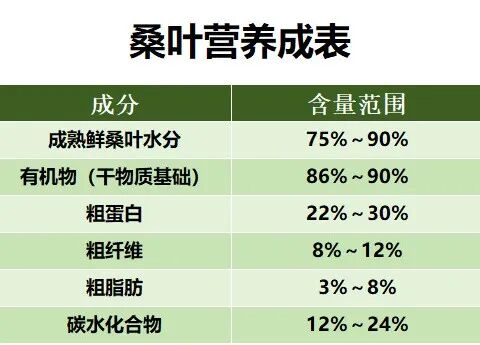 这种叶子，蚕吃了变丝，鸡吃了变香，猪吃了变……