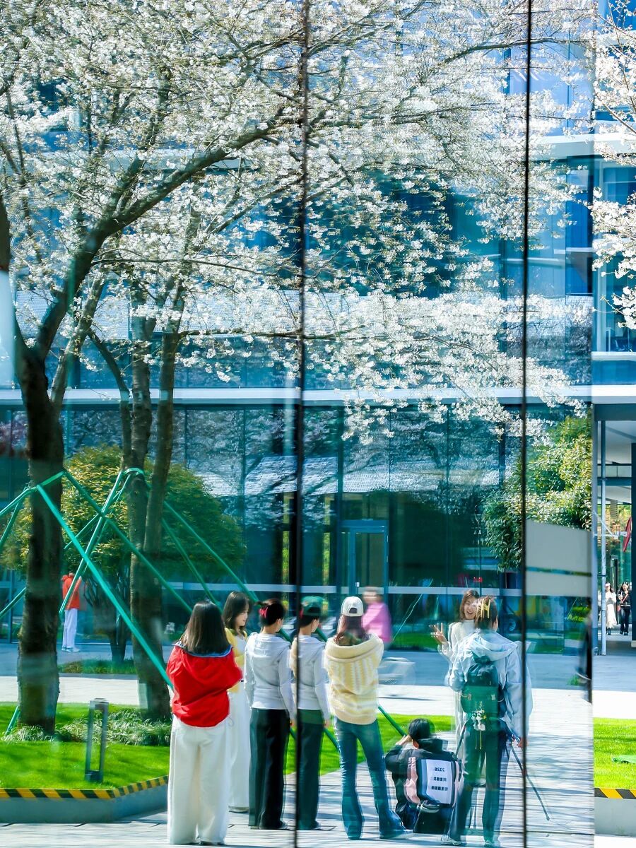 招聘公告图片