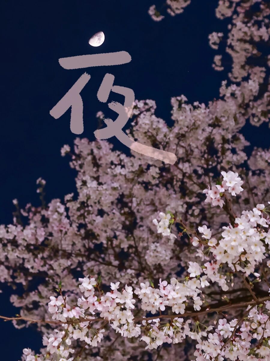 招聘公告图片