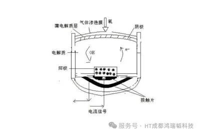 分不清！鸿瑞韬HT-PA302与HT-PA310便携式氧分析仪，到底该怎么选？