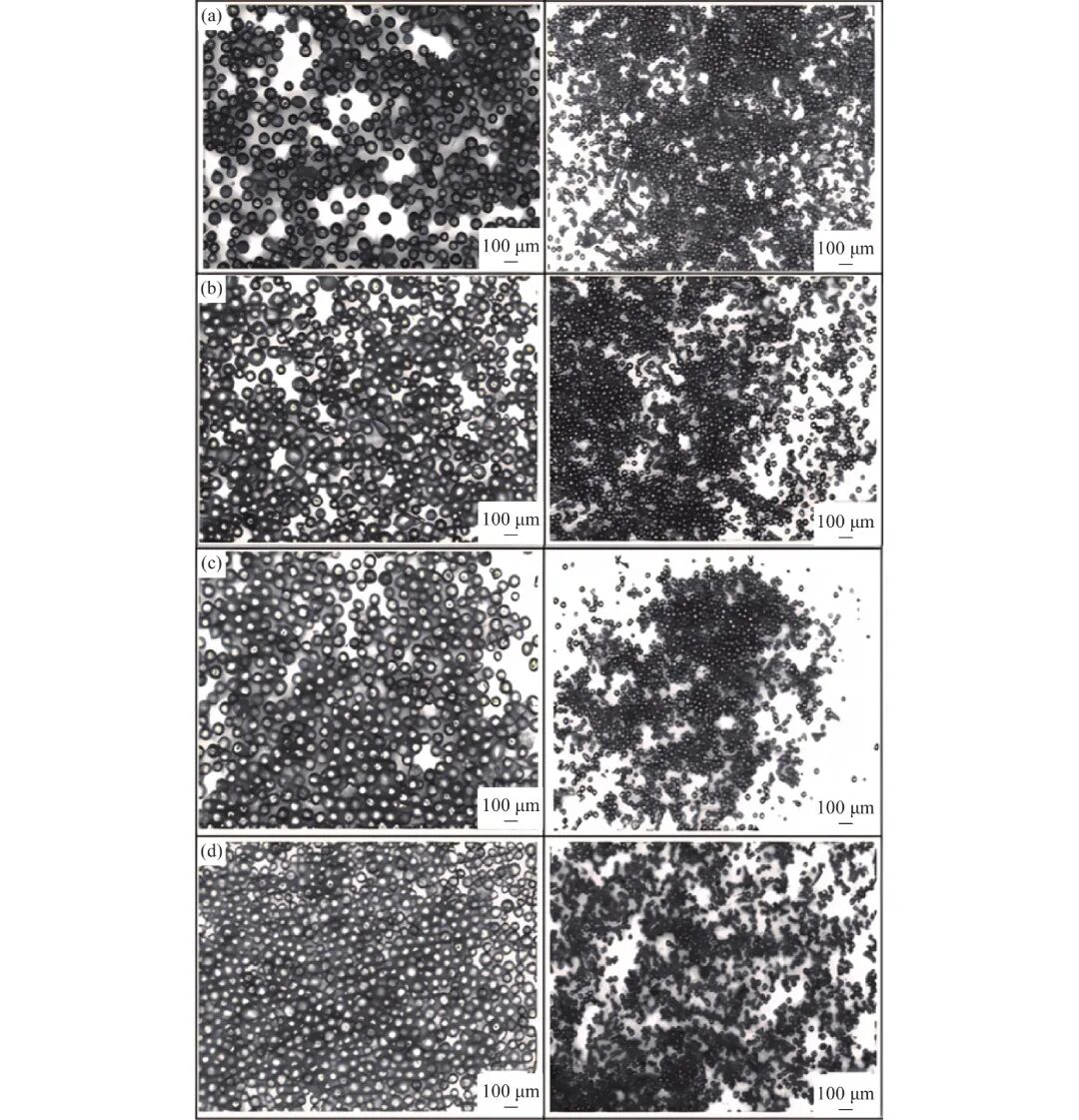 10.3969-j.issn.1000-6826.2025.02.1401-Figure8.jpg