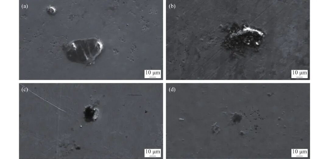 10.3969-j.issn.1000-6826.2026.04.2361-Figure5.jpg